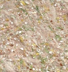 Caramel Crunch SC 226