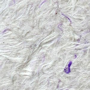 Purple Liquid Wallpaper | Silk Plaster | Silcotex | 1kg Bag | Lilac Touch SC 04