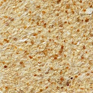 SILCOTEX Almond Chip SC 208
