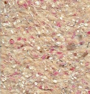 Natural Sand SC 239