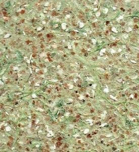 Green Liquid Wallpaper | Silk Plaster | Silcotex | 1kg Bag | Olive Granite SC 213
